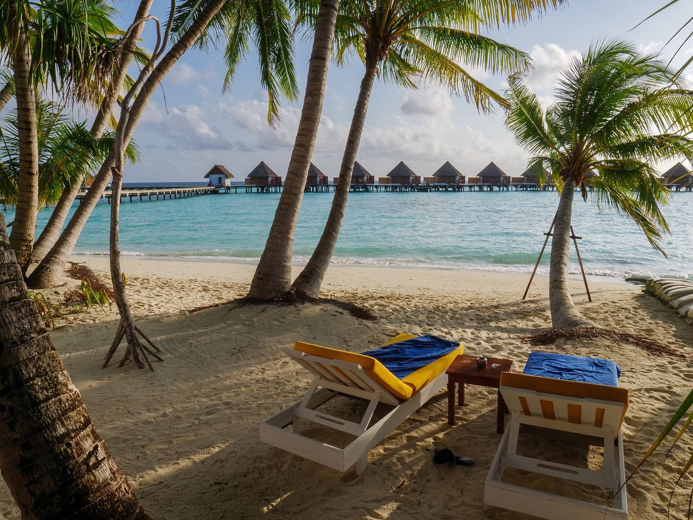 Loungers under palms on a beach in the Maldives